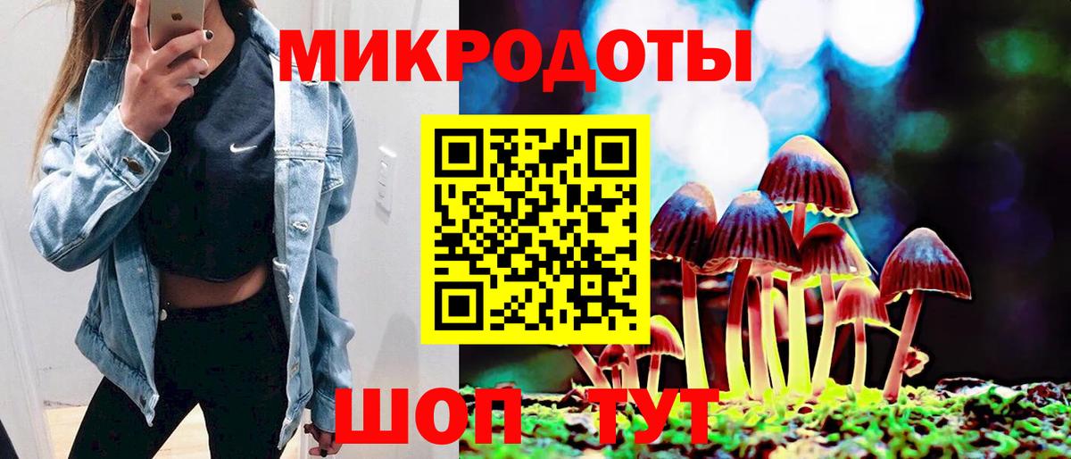 Галлюциногенные грибы Psilocybe  закладки  Коркино  Вход с VPN 